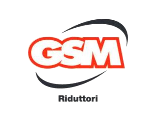GSM SpA - Baccio S.R.L. - Forniture Tecniche Industriali